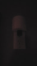 Load and play video in Gallery viewer, Nightlight: Hespeler Village #1
