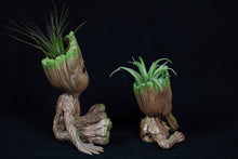 Load image into Gallery viewer, Groot Planters
