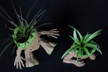 Load image into Gallery viewer, Groot Planters
